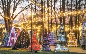 Kalėdinių eglučių alėja Jonavoje, Elnių parkas ir Adventinis miestelis!